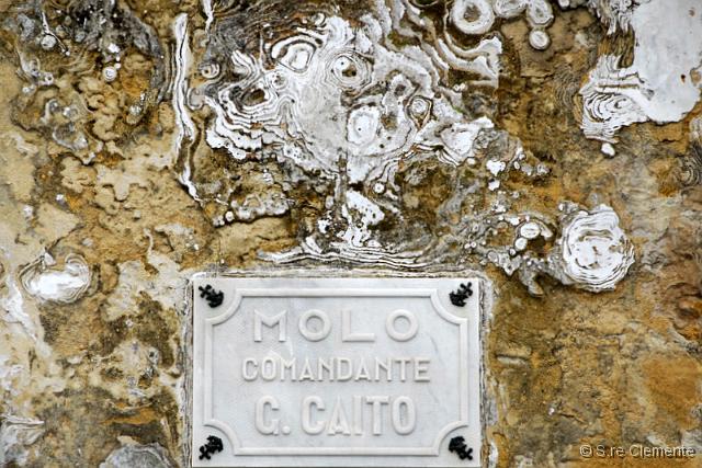 20_CL80066.JPG