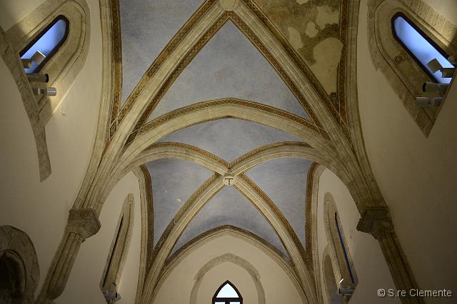 14_SC09746.jpg - Copyright