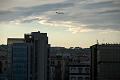 08c_CL84769