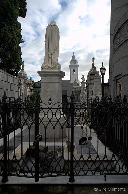_SC15454.jpg