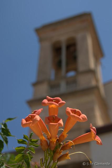 05_CL86586.jpg