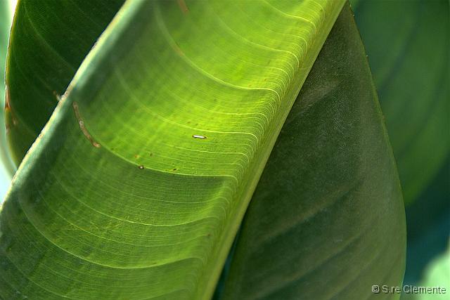 05_CL87842.jpg