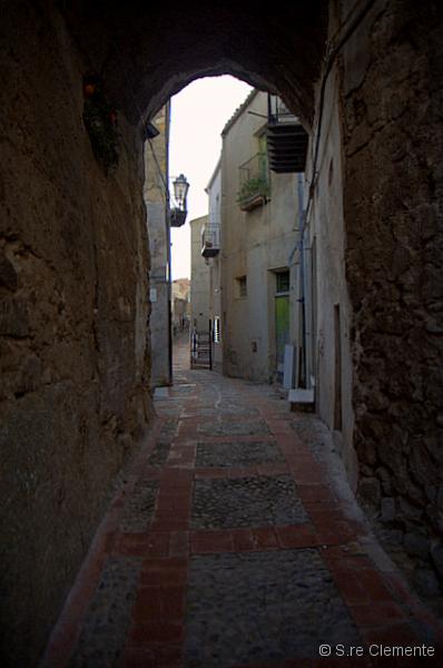 _SC10099.jpg