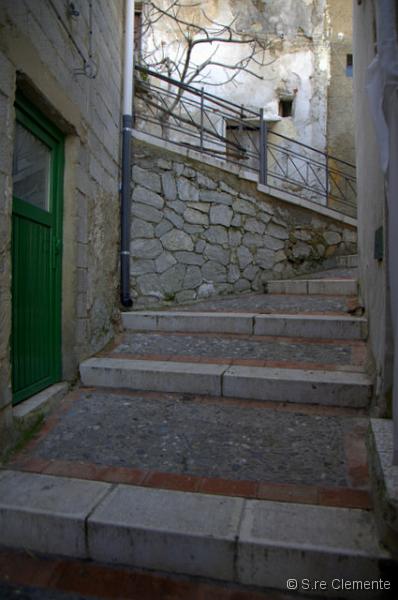 _SC10105.jpg